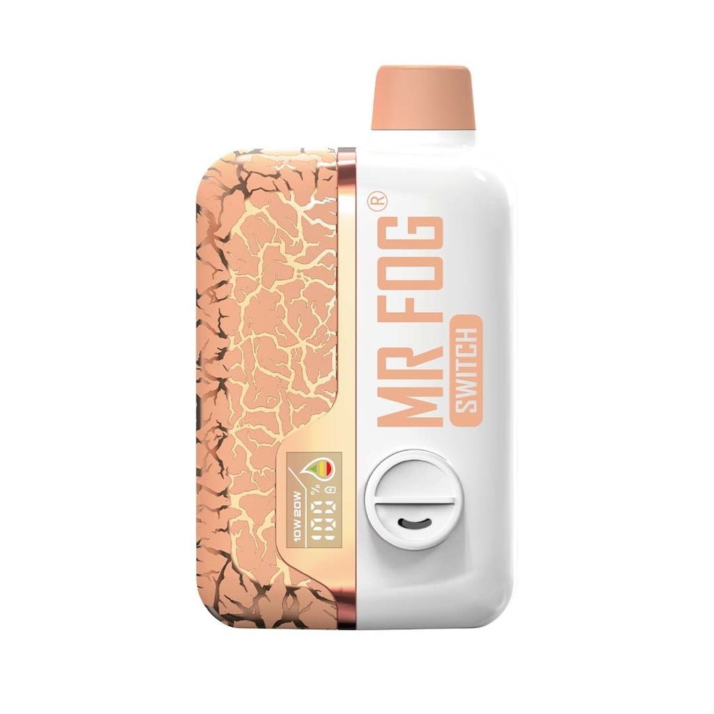 Mr Fog Switch 15000 Disposable Vape-Peach Lychee Ice